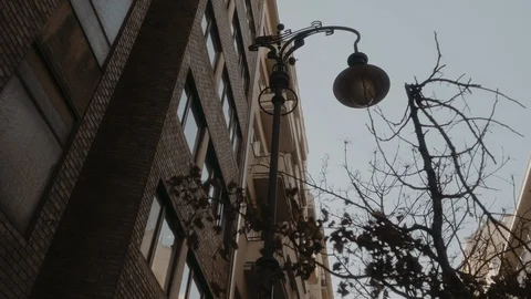 A lantern in the center of Budapest Stock Footage 129609222