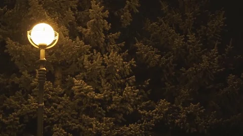 Lantern in city park during winter night. Light snowfall Video stock 84773761