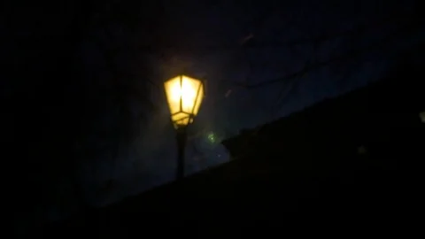 Lantern in the evening park Stock Footage 85445574