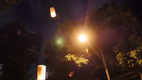 A lantern fly almost hit a tree in chiang mai Stock Footage 100360611