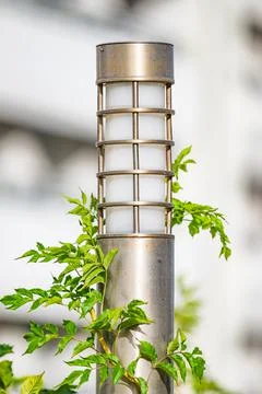Lantern in the garden Fotos Stock