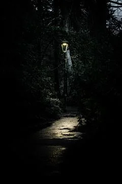 Lantern glowing in the dark Stock Photos