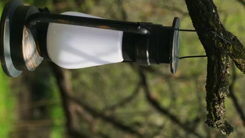 Lantern hanging on a tree branch. Видео 243972891