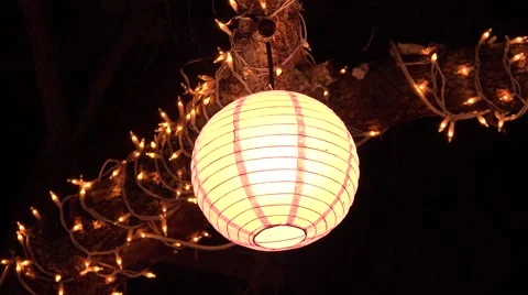 Lantern Hanging From Tree Branch With Lights At Night  스톡 동영상 57327292