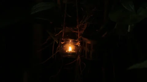 Lantern hanging on tree Stock Footage 147904713