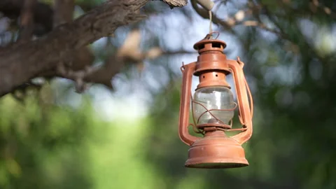 Lantern hanging on a tree Stock Footage 246982402