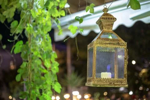 A lantern hanging from a vine with a candle inside Stock Photos