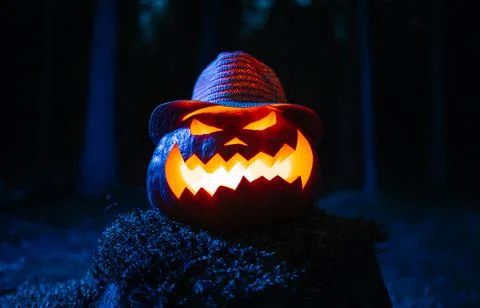 Lantern jack's head in hat on holiday against the background of the forest. Stock-Fotos