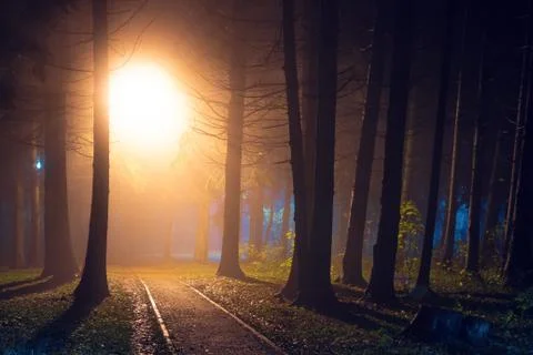 Lantern lights in night forest park Stock Photos