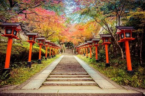 A lantern lined path with stairs leading up the the Kurama-dere Temple north  写真素材