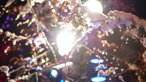 Lantern night park night Stock Footage 85848046