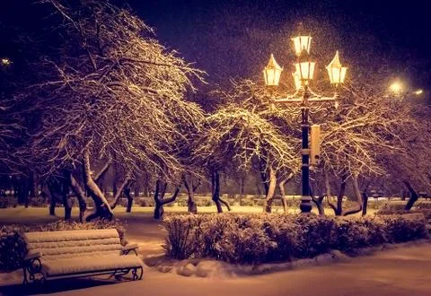 Lantern night snow tree Fotos Stock