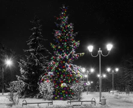 Lantern night snow tree Foto stock