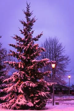 Lantern night snow tree Foto stock