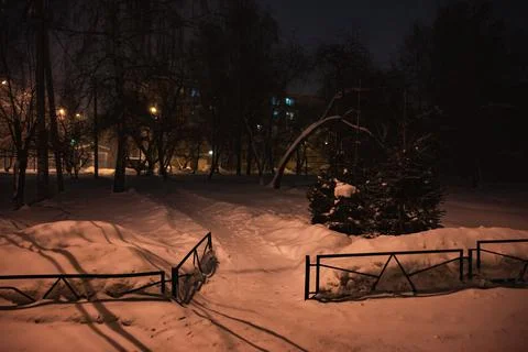 Lantern night snow tree Foto stock