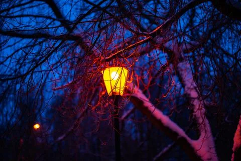 Lantern night snow tree Photos