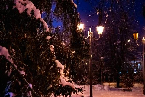 Lantern night snow tree Фото