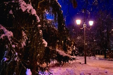 Lantern night snow tree Stockfoto's
