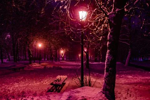 Lantern night snow tree Stock Photos