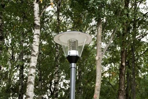 Lantern in the Park on a background of trees Stock Photos