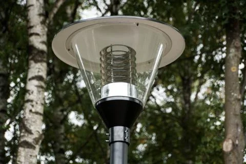 Lantern in the Park on a background of trees Stock Photos