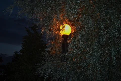 Lantern in the park, night 스톡 사진
