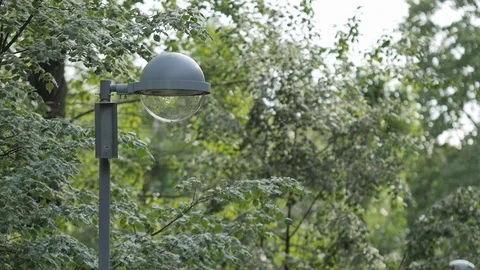 Lantern in the Park in Summer Video stock 89734305