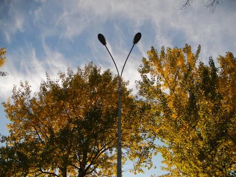 A lantern Stock-Fotos