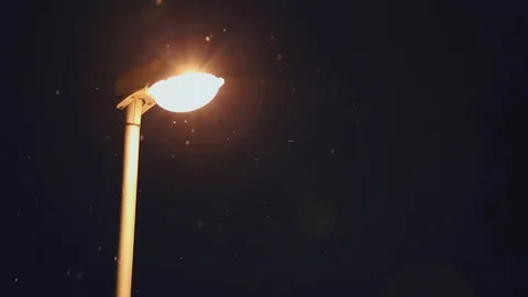 The  lantern refreshes warm light flying white snow on background  branches of t Stock Footage 86299929