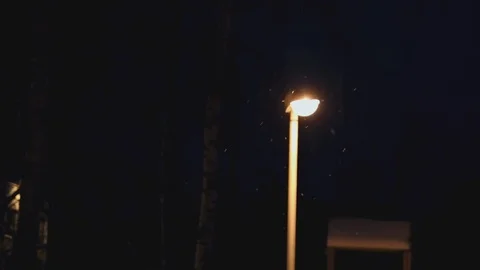 The  lantern refreshes warm light flying white snow on background  branches of t Stock Footage 86299933
