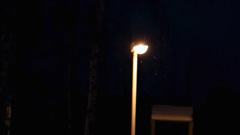 The  lantern refreshes warm light flying white snow on background  branches of t Stock Footage 86299941