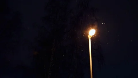 The  lantern refreshes warm light flying white snow on background  branches of t Video stock 86299943