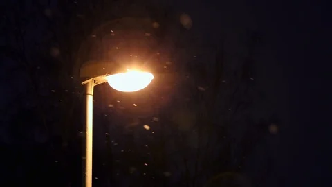 The  lantern refreshes warm light flying white snow on background  branches of t Stock Footage 86299947