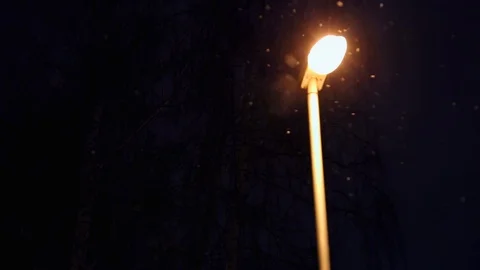 The  lantern refreshes warm light flying white snow on background  branches of t Stock Footage 86299953