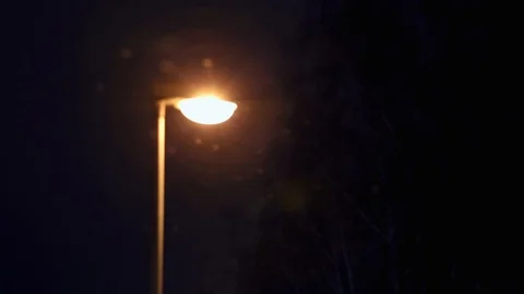 The  lantern refreshes warm light flying white snow on background  branches of t Stock Footage 86299963