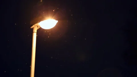 The  lantern refreshes warm light flying white snow on background  branches of t Stock Footage 86299966