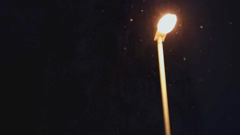 The  lantern refreshes warm light flying white snow on background  branches of t Stock Footage 86299971