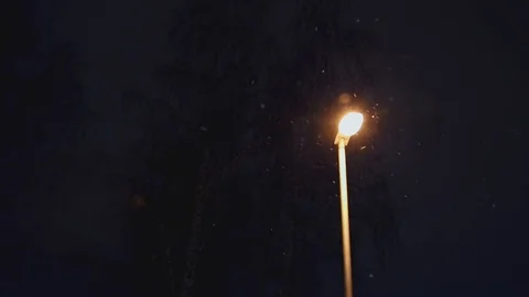 The  lantern refreshes warm light flying white snow on background  branches of t Stock Footage 86299974