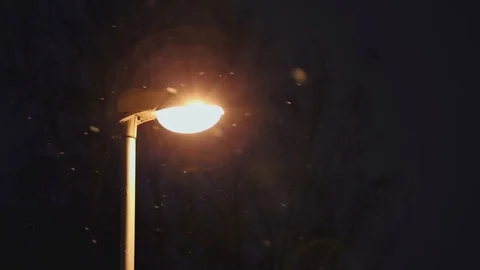 The  lantern refreshes warm light flying white snow on background  branches of t Stock Footage 86299977