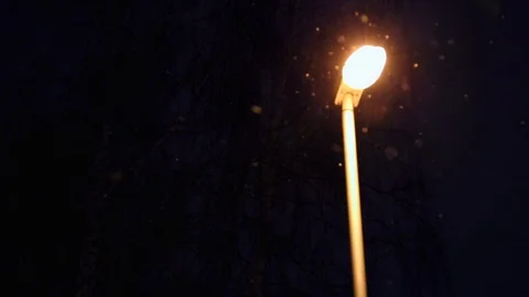 The  lantern refreshes warm light flying white snow on background  branches of t Stock Footage 86299979