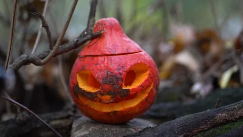 Lantern with scary cut out face looks straight. Halloween holliday concept. Stock Footage 139200044