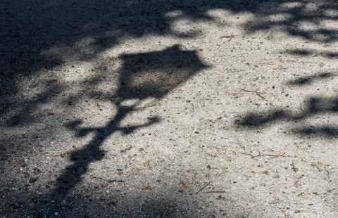 Lantern Shadow Stock Photos