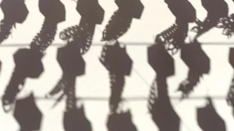 Lantern shadow2 Stock Footage 320035232