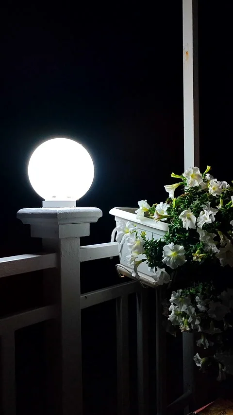 Lantern shining dark night white blooming flowers pot swaying wind Vertical Stock Footage 305527379