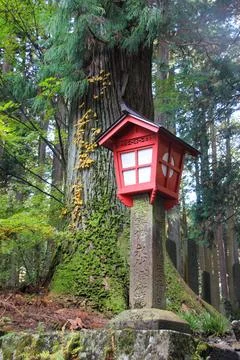 Lantern stands in the woods Stock Photos