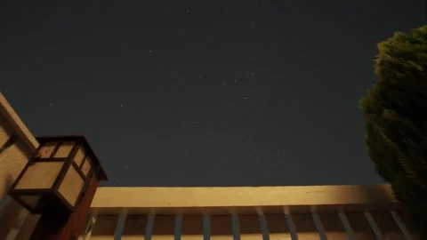 Lantern stars shrub Stock Footage 142060275