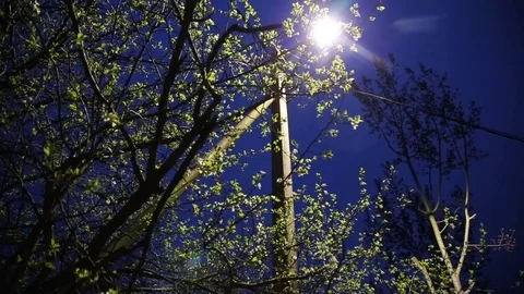 Lantern on the street at night Stock Footage 76766527