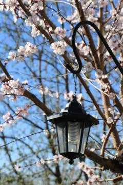 Lantern in the street Stock Photos