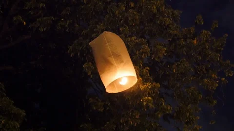 A lantern stuck with a tree in chiang mai Stock Footage 100360776