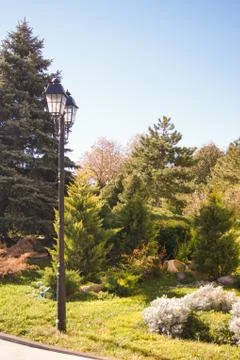 Lantern with trees. Stockfoto's